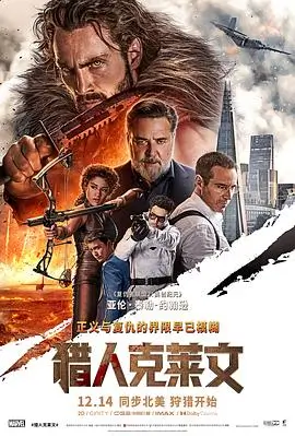 日本时代剧电影纸鸢与刀封面